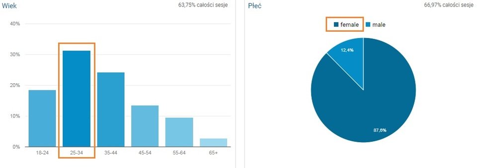 Odbiorcy/Dane demograficzne/Przegląd